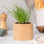 Cork Pot Herb Growing Kit | Chives