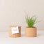 Cork Pot Herb Growing Kit | Chives