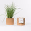 Cork Pot Herb Growing Kit | Chives