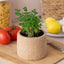 Cork Pot Herb Growing Kit | Peppermint