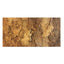 Mature Cork Bark Panel for Air Plants & Vivariums