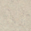 Naturtrend Cork Interlocking Floors | Samples