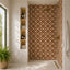 A modern bathroom shower area featuring a wall and floor covered in brown terracotta tiles with a cream geometric lattice pattern and small green floral accents. The room has warm off-white walls, built-in shelves with folded towels and toiletries, a brass shower head, and a potted fern in the foreground.