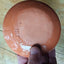 Terracotta Ray Mini Plate | Green