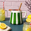 Terracotta Bold Stripe 1L Pitcher Jug | Green