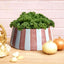 Terracotta Bold Stripes Large Tapered Bowl | Terracotta