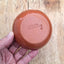 Terracotta Stripes Mini Bowl | Sage