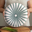 Terracotta Ray Dinner Plate | Sage