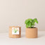Cork Pot Herb Growing Kit | Basil