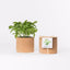 Cork Pot Herb Growing Kit | Basil