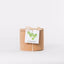 Cork Pot Herb Growing Kit | Coriander