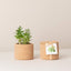 Cork Pot Herb Growing Kit | Peppermint