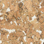 Natural Cork Glue-Down Wall Tiles