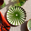 Terracotta Ray Large Plate | Green
