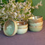 Small Stoneware Bowl 10cm | Breezy Green