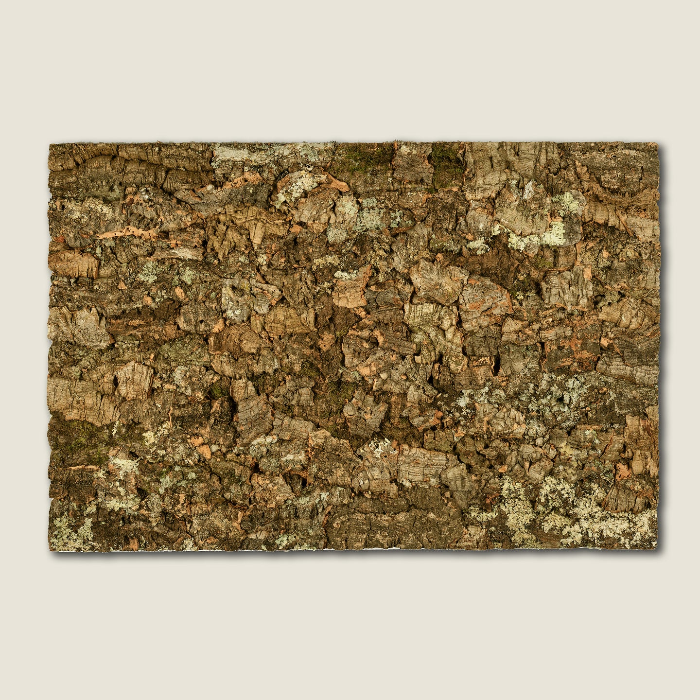 Buy Natural Cork Bark Wall Tiles and Panels Portuguese Treasures